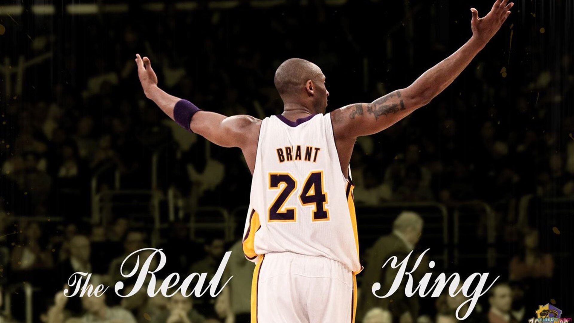 爱游戏体育平台-史上最大“黑马王朝”：逆袭夺冠的奇迹历程，黑马王子百科